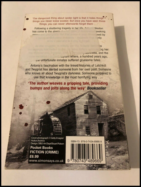 Spider Light by Sarah Rayne (Paperback, 2007)