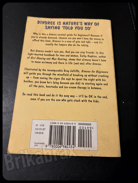 Divorce for Beginners by Cathy Hopkins Paperback Book