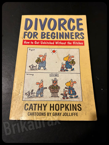 Divorce for Beginners by Cathy Hopkins Paperback Book