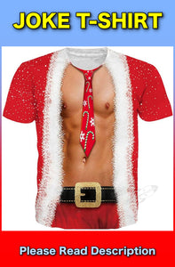 TWINK SANTA Mens Joke Crew Neck Joke T-Shirt (Select Size) One Supplied