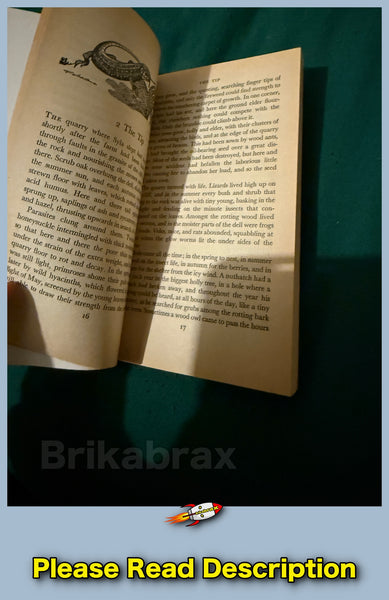 Break for Freedom by Ewan Clarkson Penguin Paperback 1976