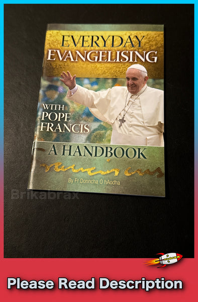 Everyday Evangelising with Pope Francis by Fr Donncha Ó hAodha Paperback Book - SOLD USED (Copy)