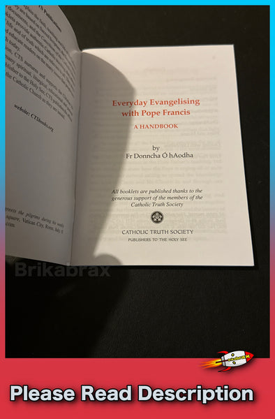 Everyday Evangelising with Pope Francis by Fr Donncha Ó hAodha Paperback Book - SOLD USED (Copy)