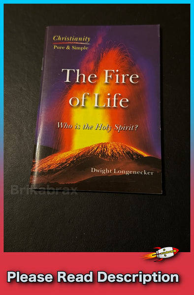 The Fire of Life: Who is the Holy Spirit? by Dwight Longenecker Paperback Book - SOLD USED
