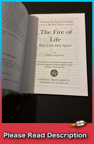The Fire of Life: Who is the Holy Spirit? by Dwight Longenecker Paperback Book - SOLD USED