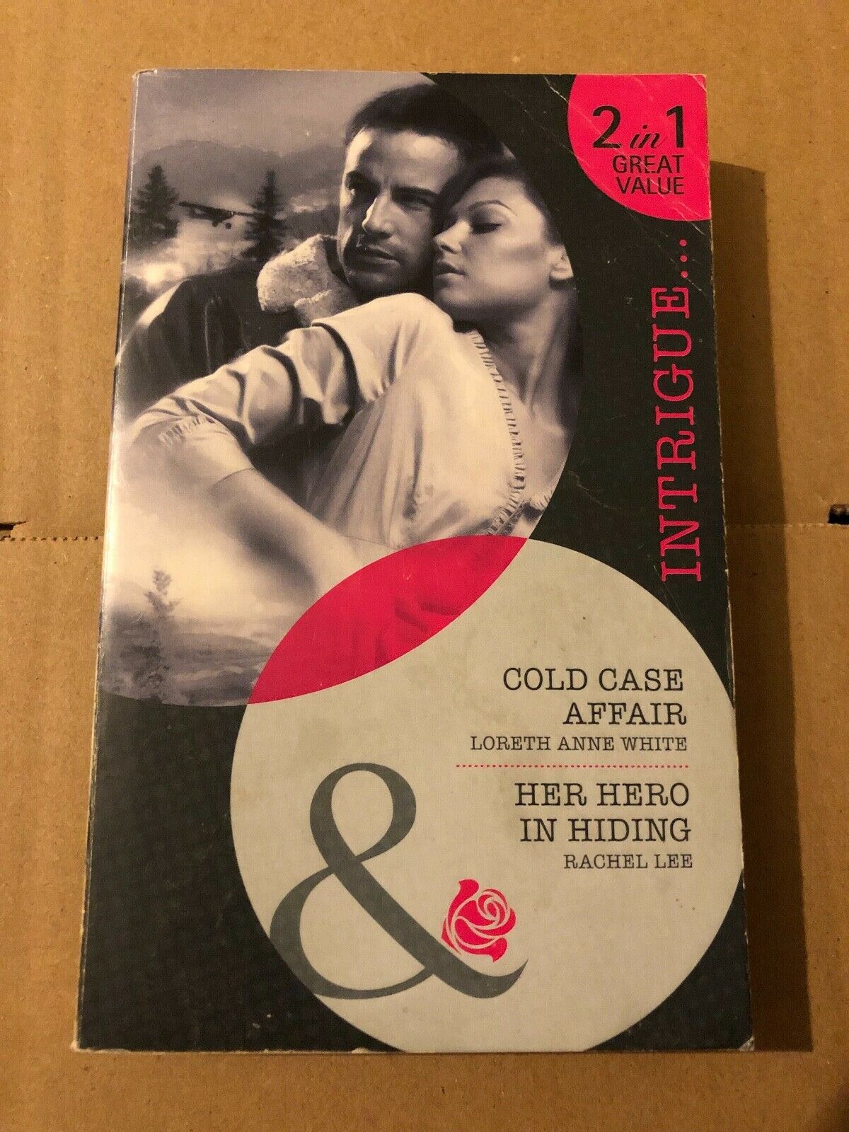 Cold Case Affair & Her Hero in Hiding by Loreth Anne White, Rachel Lee Paperback