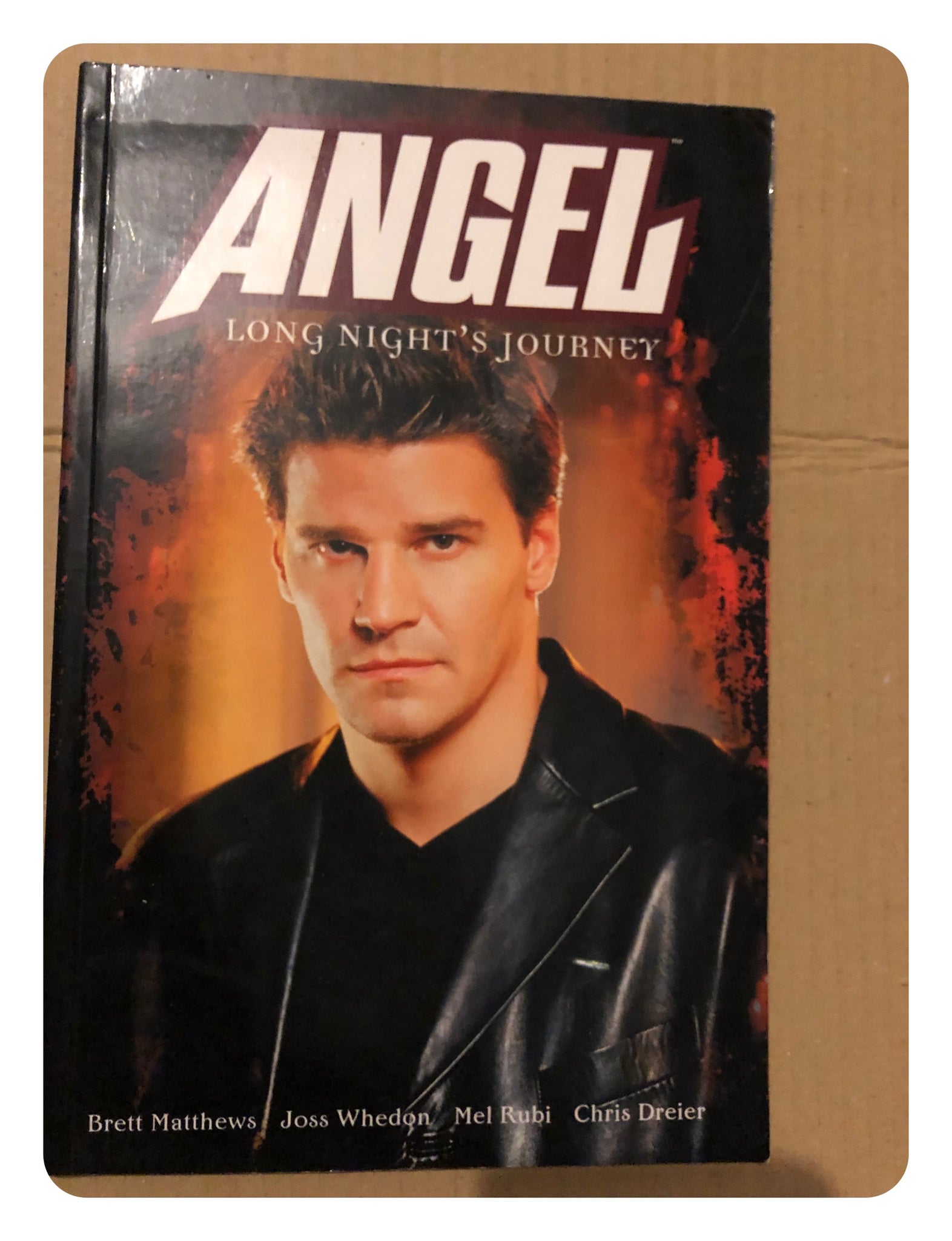 Angel: Long Nights Journey (Paperback Graphic Novel 2002)