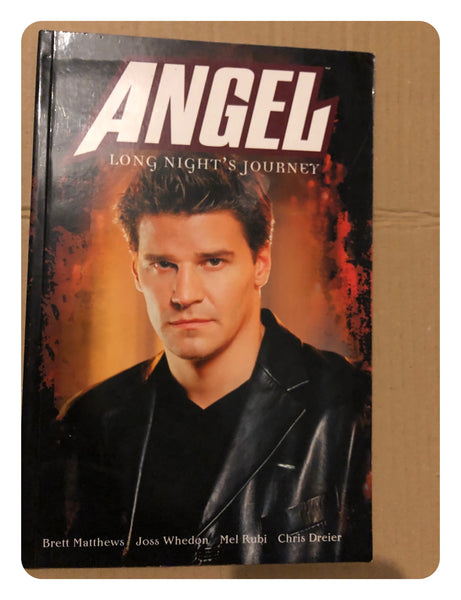 Angel: Long Nights Journey (Paperback Graphic Novel 2002)