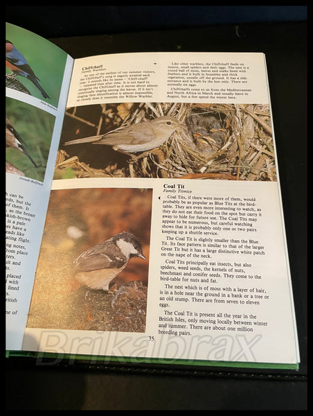 The Ladybird Book of British Birds by Robert Dougall (Hardback - 1st Edition - 1982)