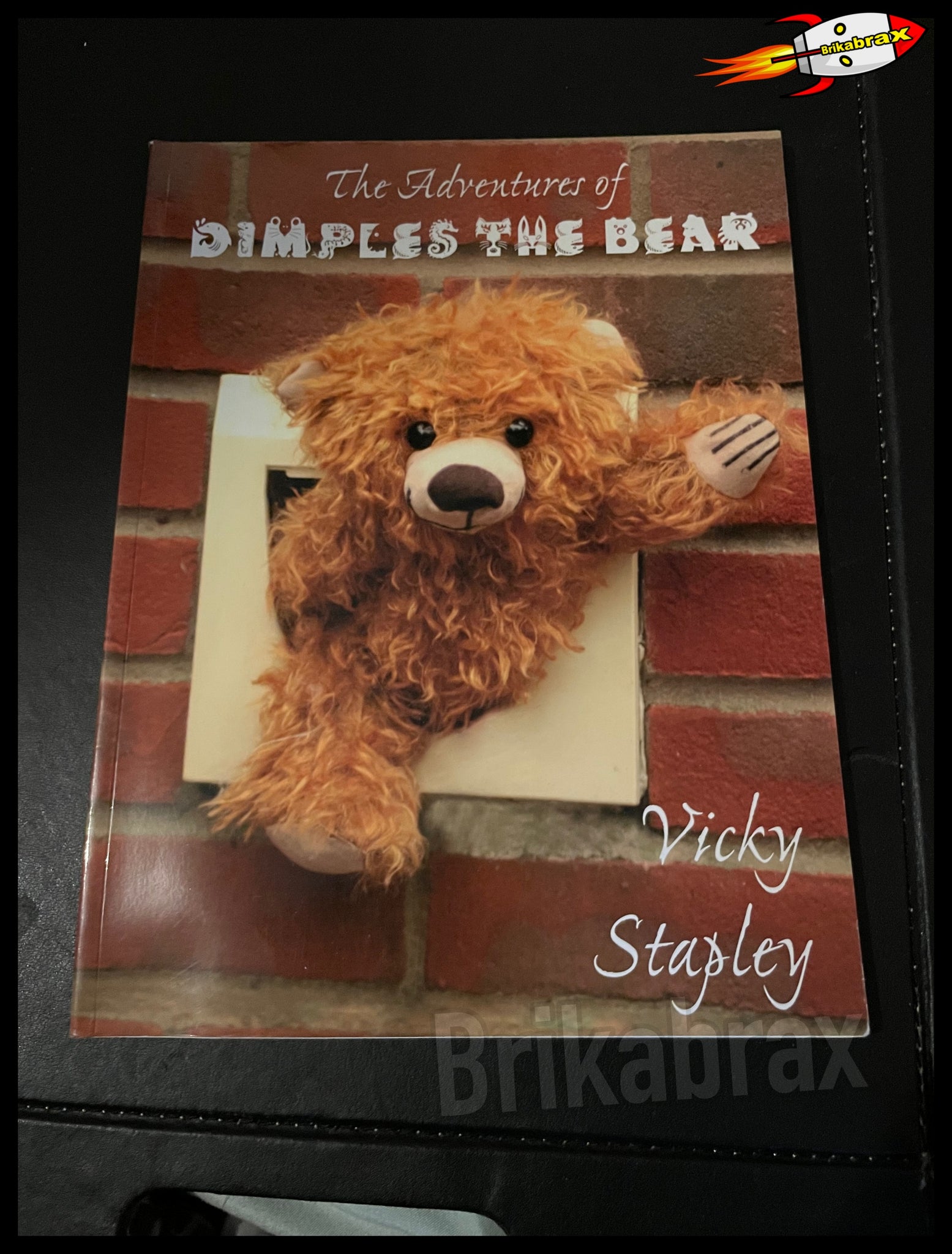 The Adventures of Dimples the Bear by Vicky Stapley (Paperback Book 2006) New