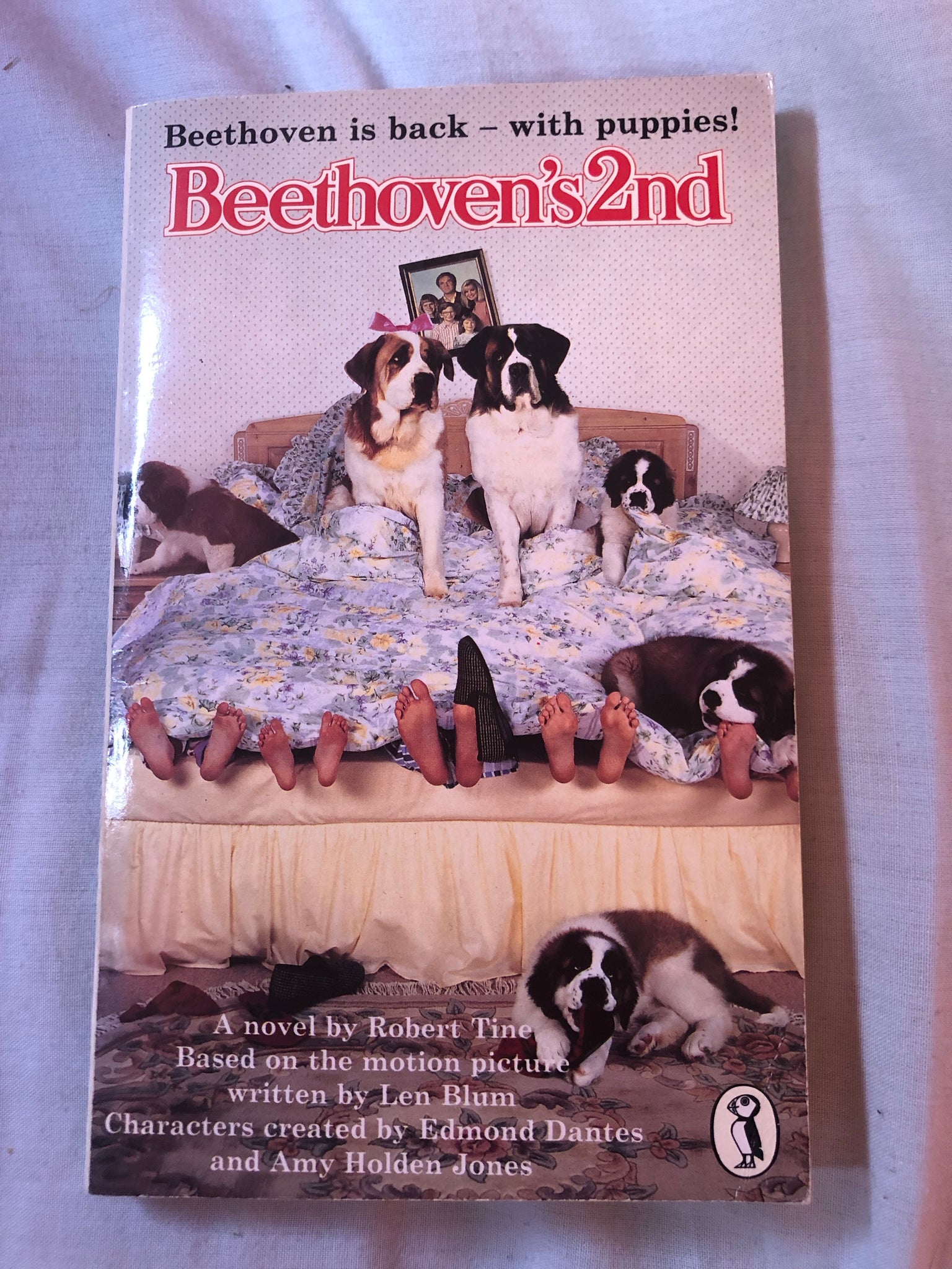 Beethoven’s 2nd by Robert Tine (Paperback 1993)
