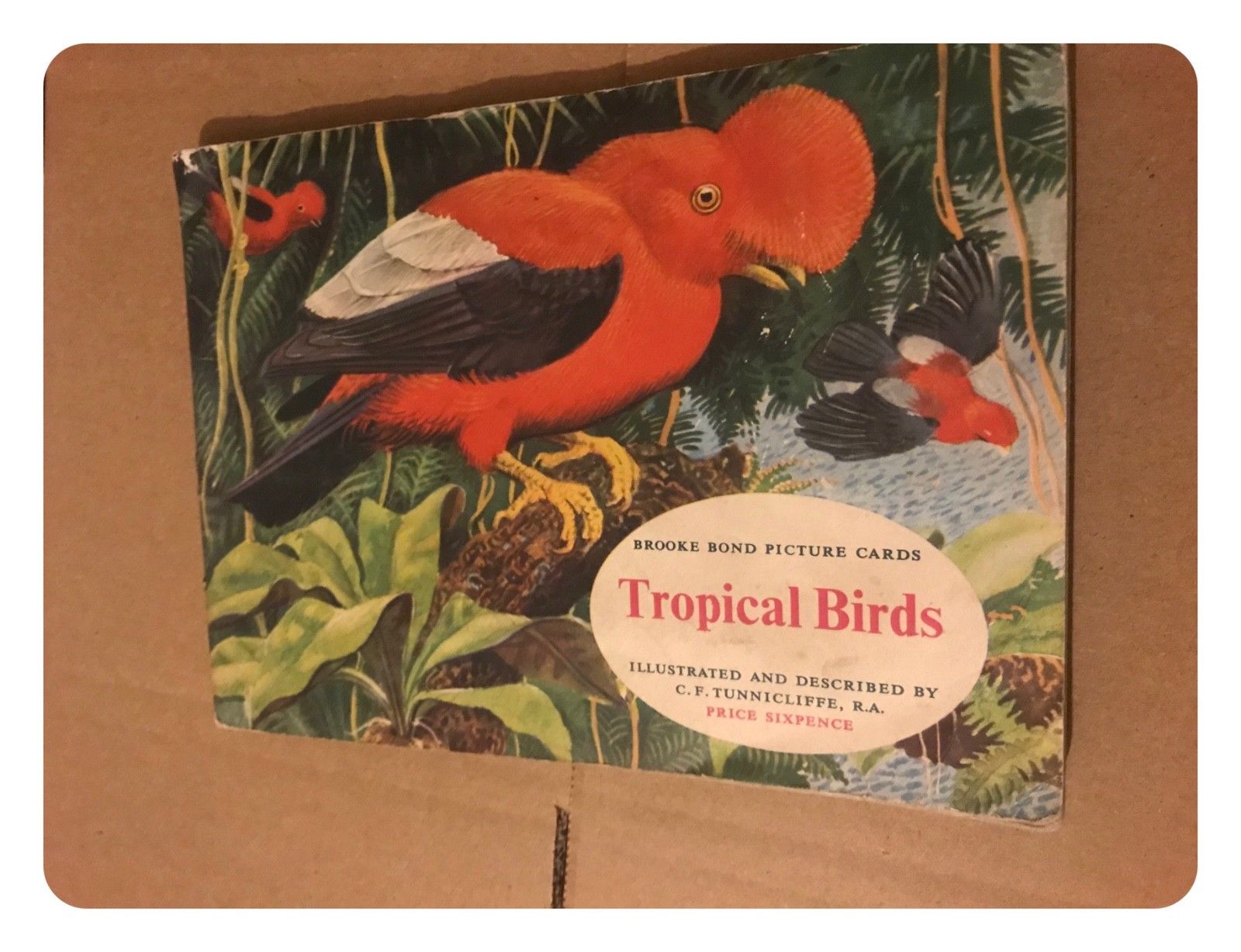 Brooke Bond Tea Cards Tropical Birds - Complete Set in Official Album Book